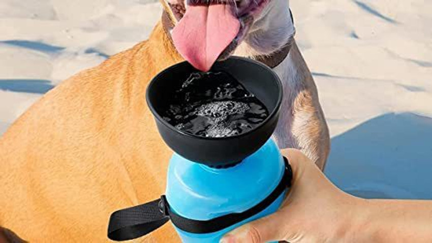 Shop Stoppers Dog Water Bowl Bottle Portable Aqua Dog Travel Water