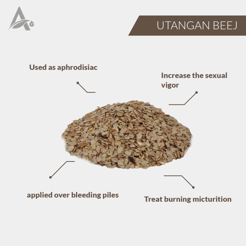 Desi Jadi Buti Utangan Beej Tukhm e anjara Utangan Seeds