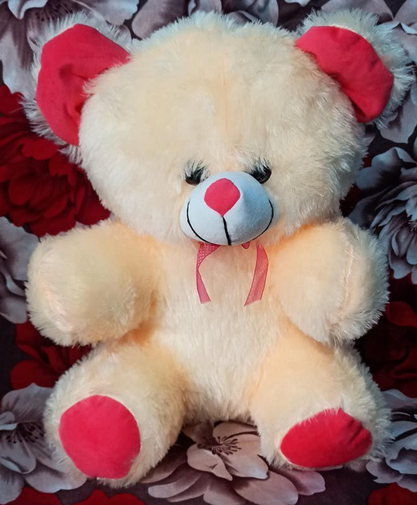 Real teddy deals
