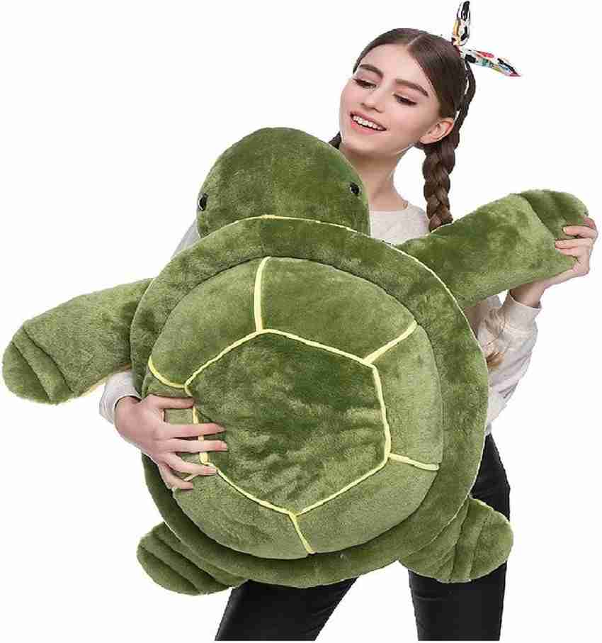 Teddy tortoise hot sale