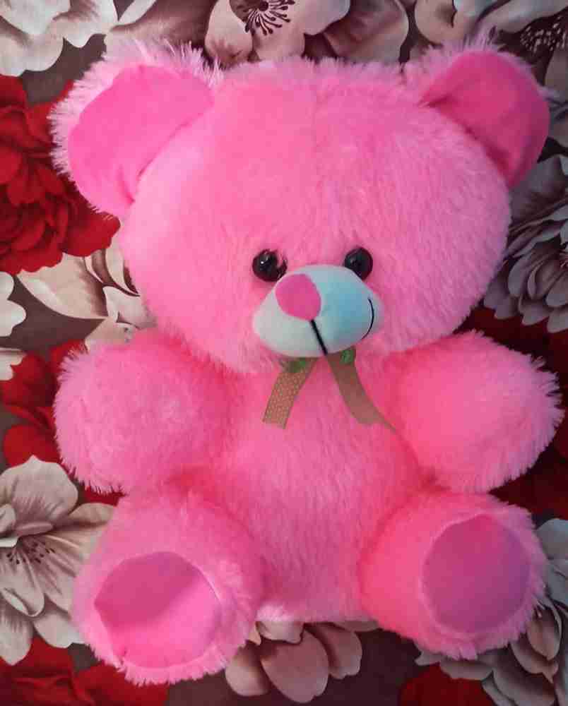 Teddy for girls store