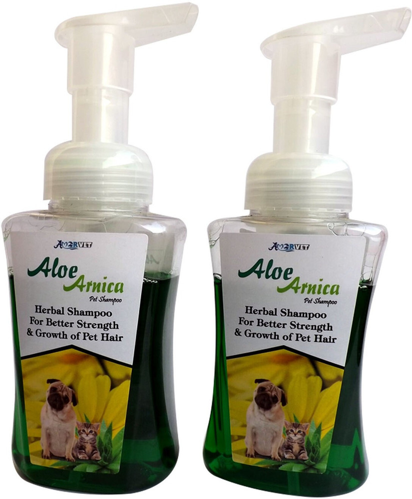 Arnica safe for dogs store