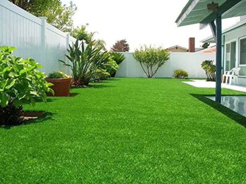 Lawn care clearance india