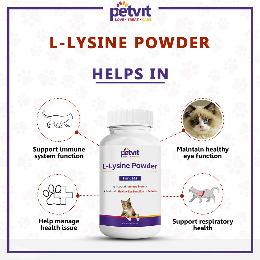 Lysine for dogs immune system outlet