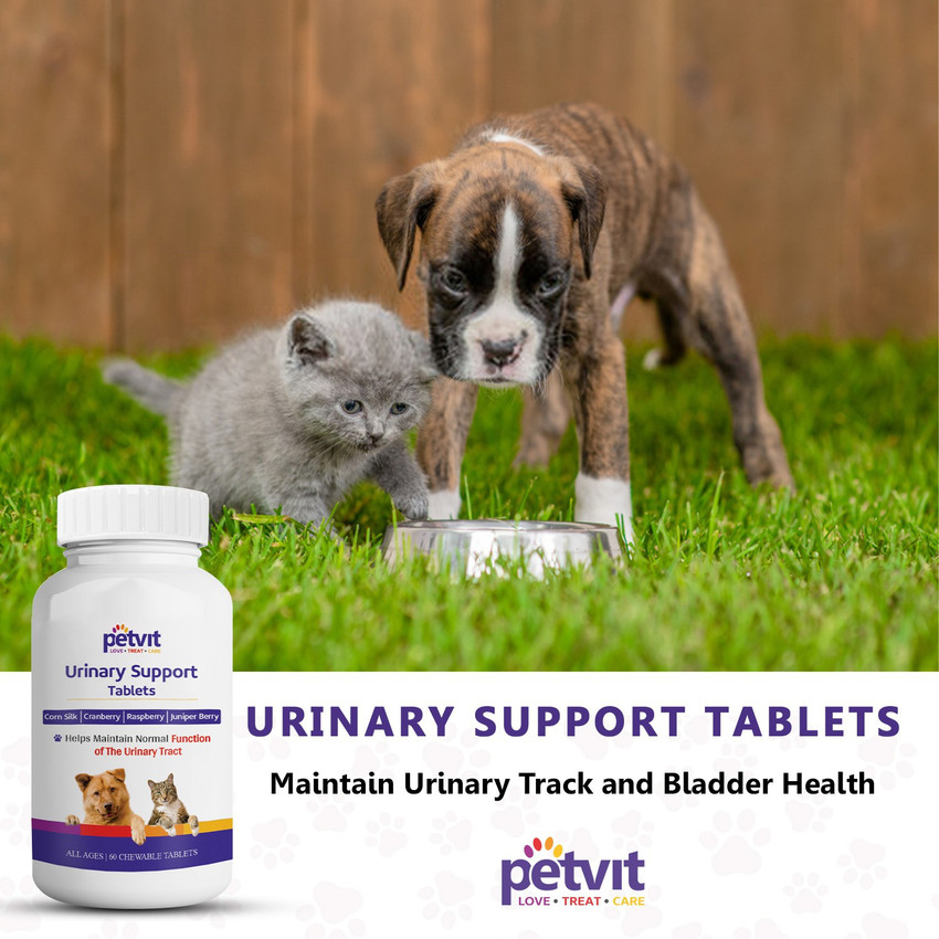 Petvit Urinary Support Bladder and Renal Health in Dogs and Cats
