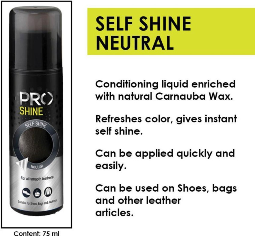 Pro shine cheap shoe polisher