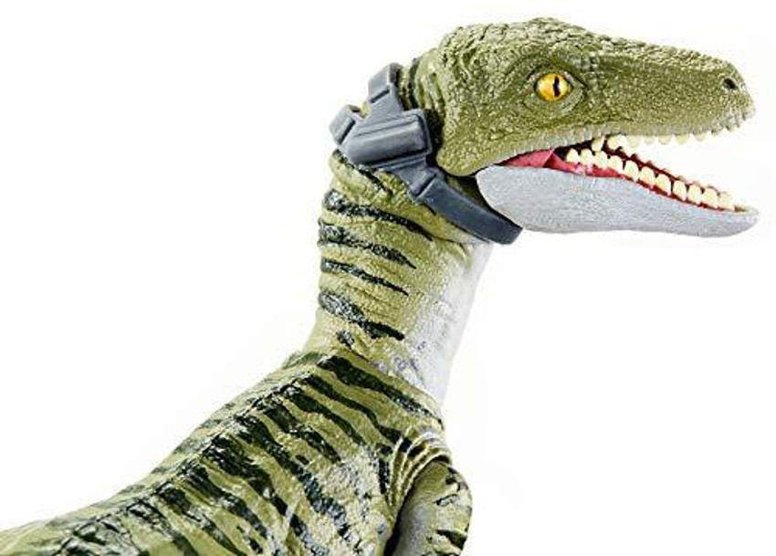 Jurassic World Velociraptor Charlie 6 inches Collectible Action