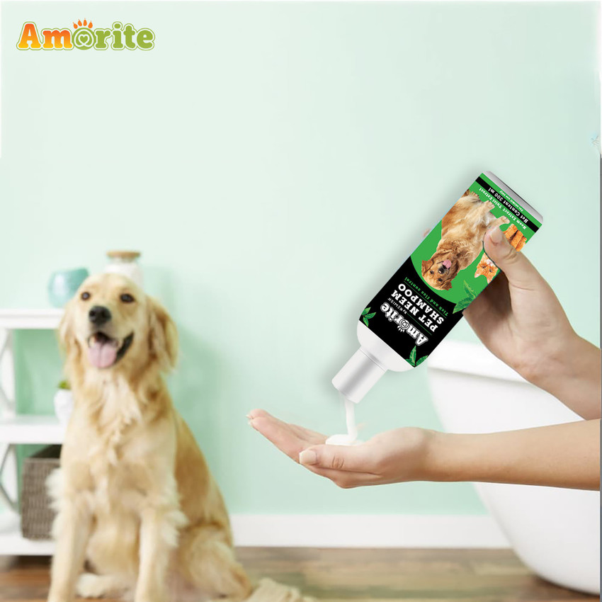 Dog neem online