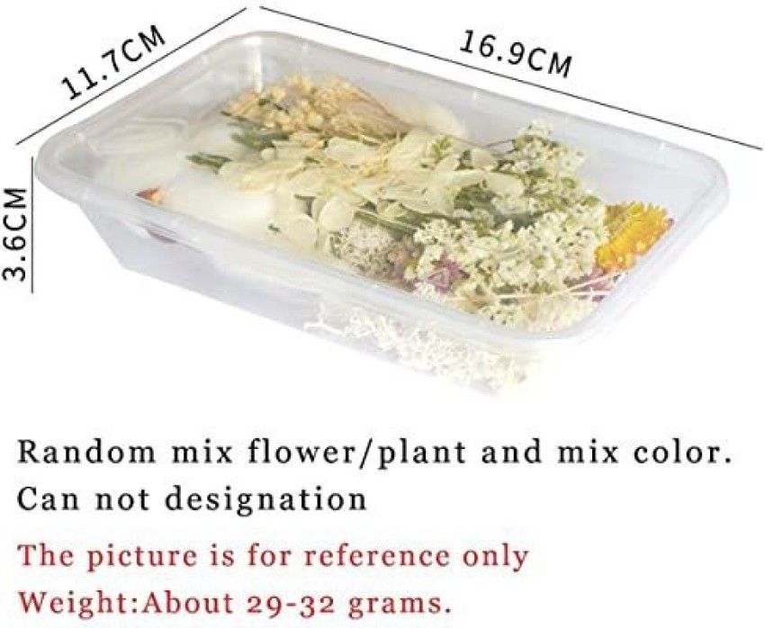 Multicolor Natural Dried Pressed Flowers For Resin Art at Rs 300