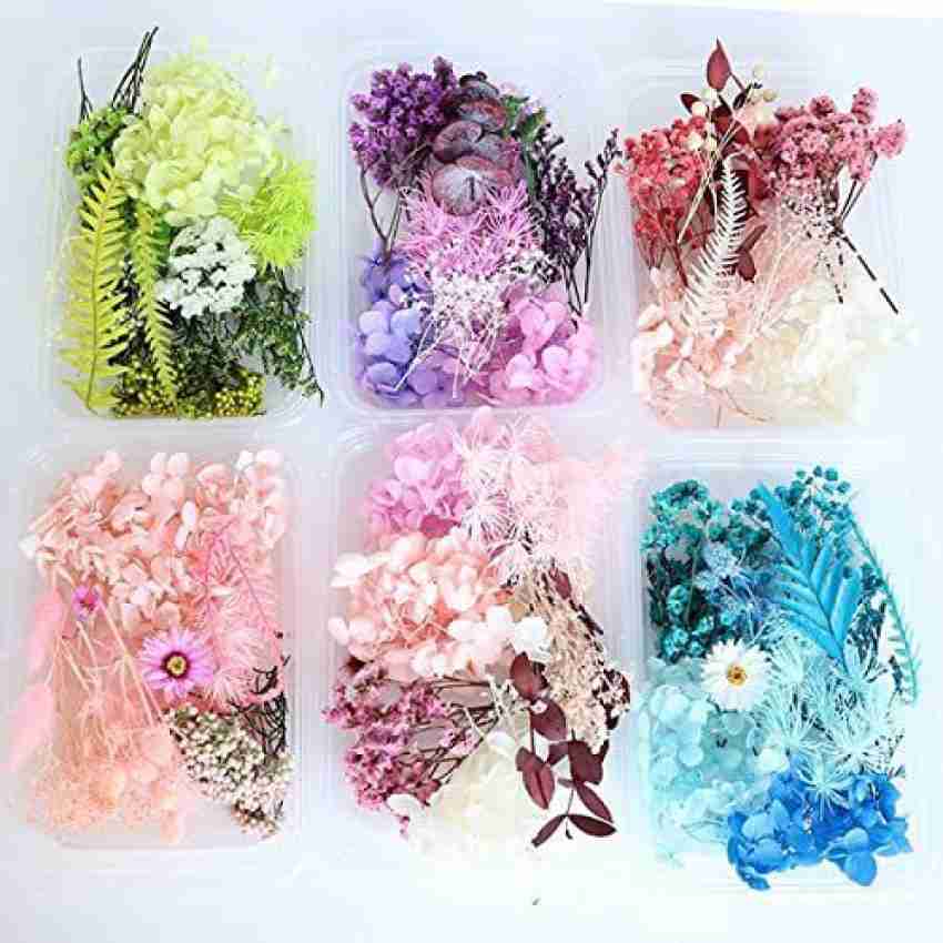 Sodee Dried Flowers for Resin Art Natural Dry Flowers,  Multicolor ( Pack of 1) - Dried Flowers
