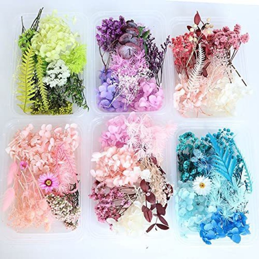 1 Box Random Real Dried Flower Resin Mold Fillings Jewelry Making