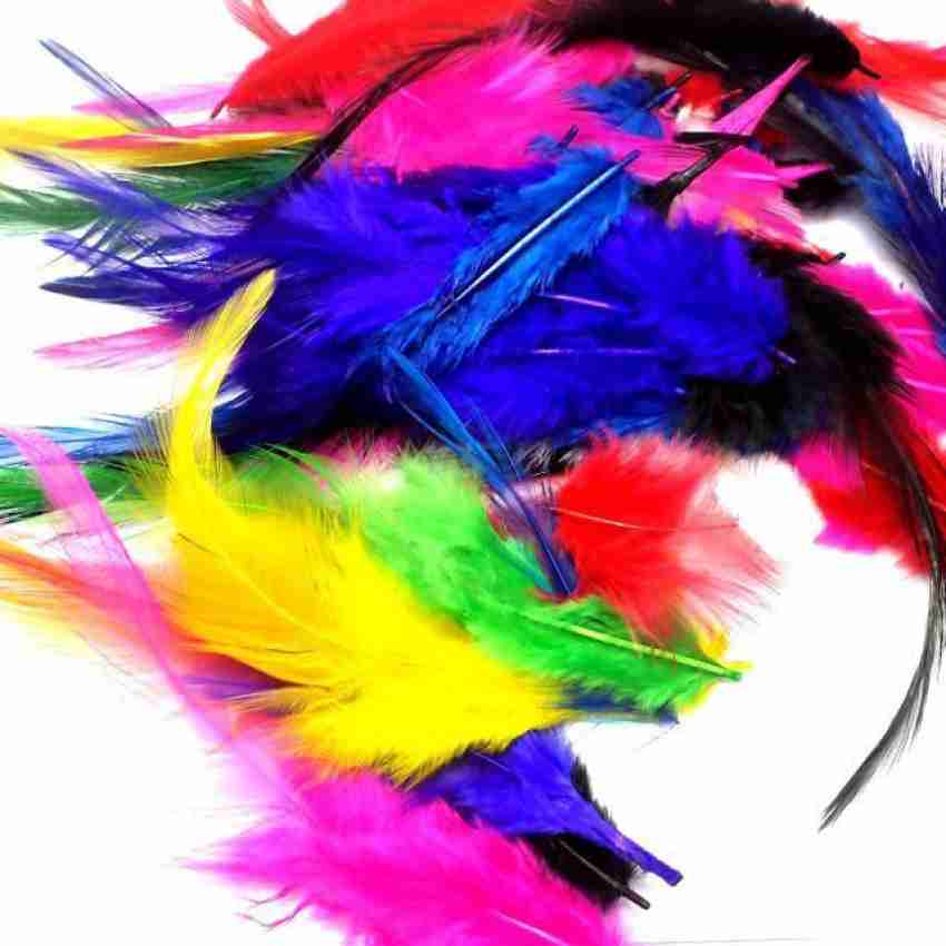 soraj Pack of 12 Decorative Feathers Price in India - Buy soraj