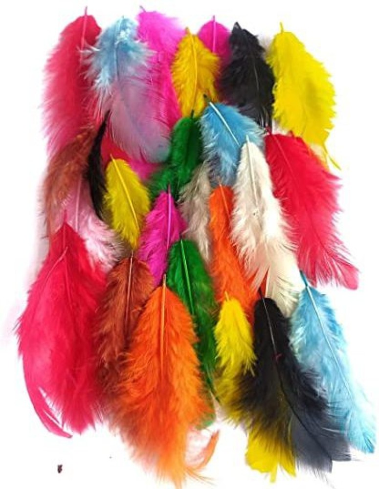 soraj Pack of 12 Decorative Feathers Price in India - Buy soraj Pack of 12  Decorative Feathers online at