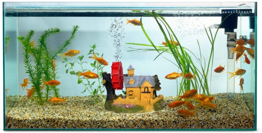 Jainsons Pet Products Aquarium Decoration Fish Tank Plastic 2