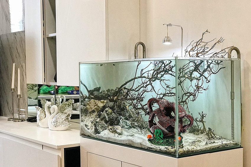 Angelfish tank decoration best sale