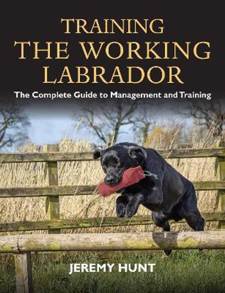 Labrador dog online price in flipkart