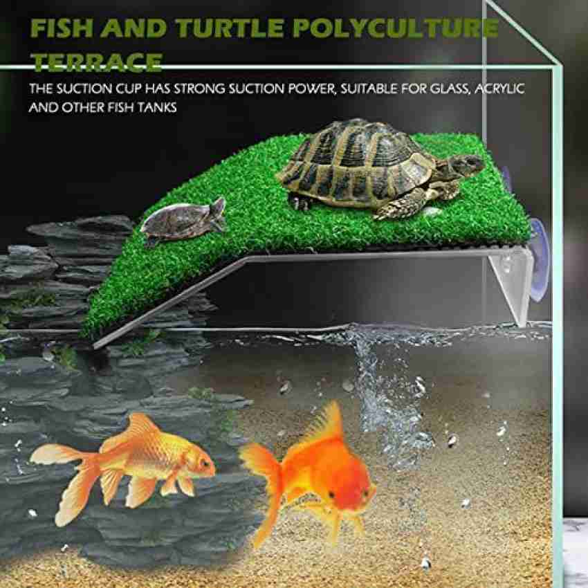 Shop Turtle Aquarium Accessories Moss with great discounts and prices  online - Apr 2024