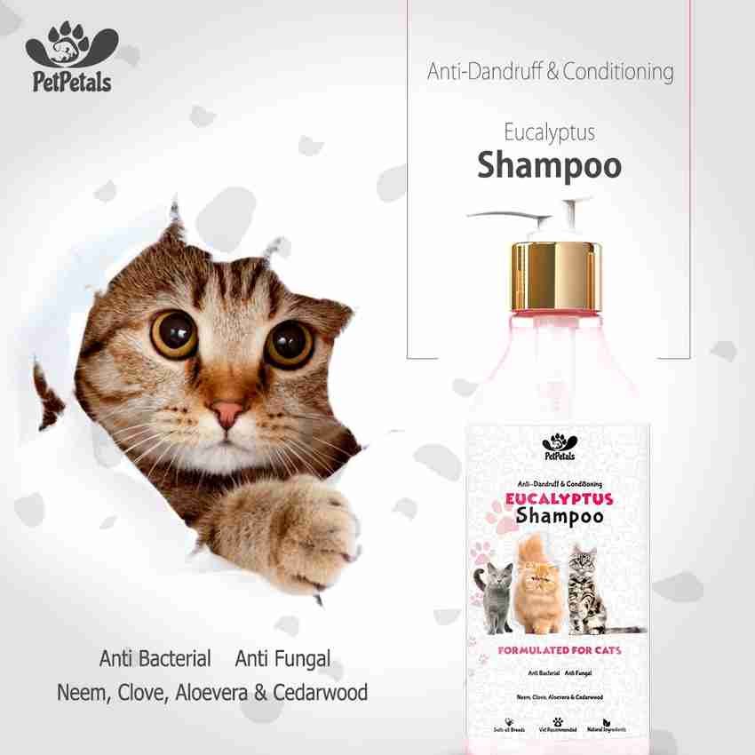 Anti dandruff cat shampoo 2025