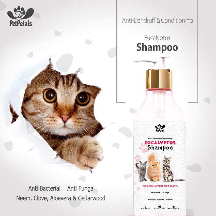 Anti allergy cat shampoo cheap