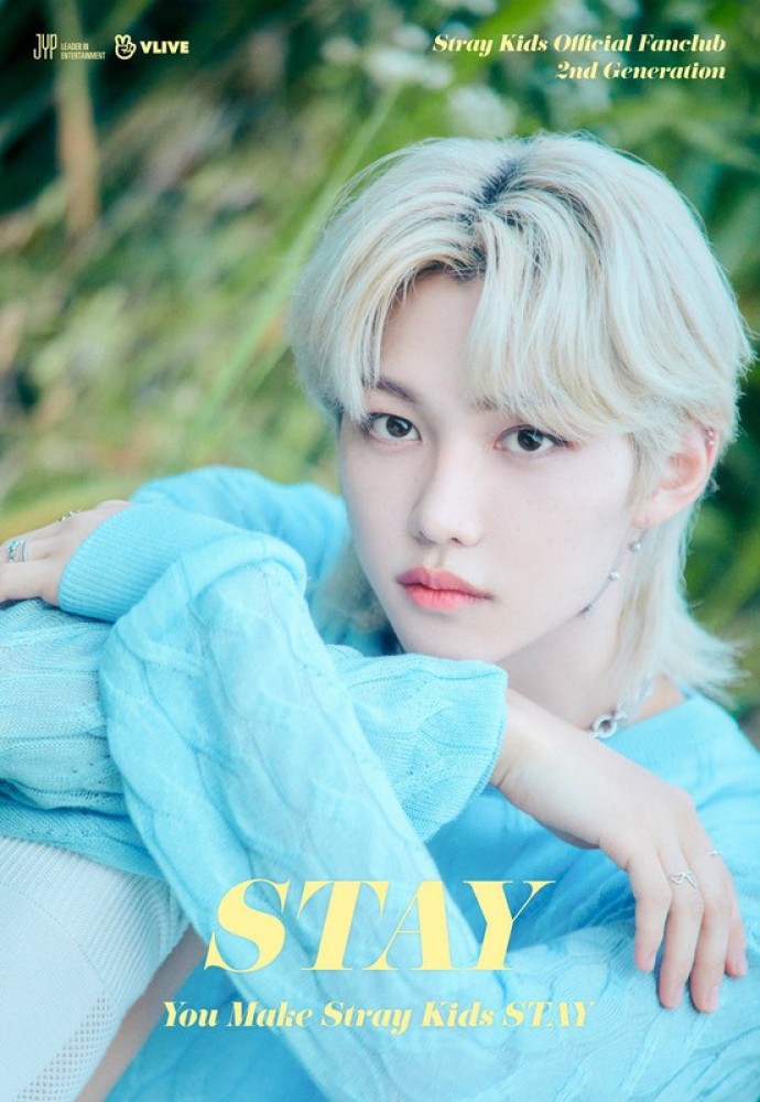 Hd Felix Stray Kids Any Back Door Ex Kpop Stay Straykids Stz Matte Finish  Poster Paper Print - Animation & Cartoons posters in India - Buy art, film,  design, movie, music, nature