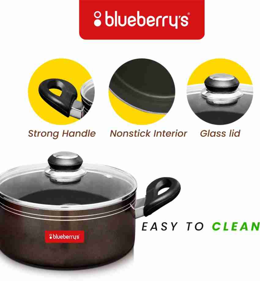 Buy Blueberrys 8 Litre Non-Stick Biriyani Pot With Glass Lid (Ruby