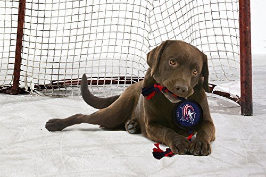 Pets First Nashville Predators Hockey Dog Jersey