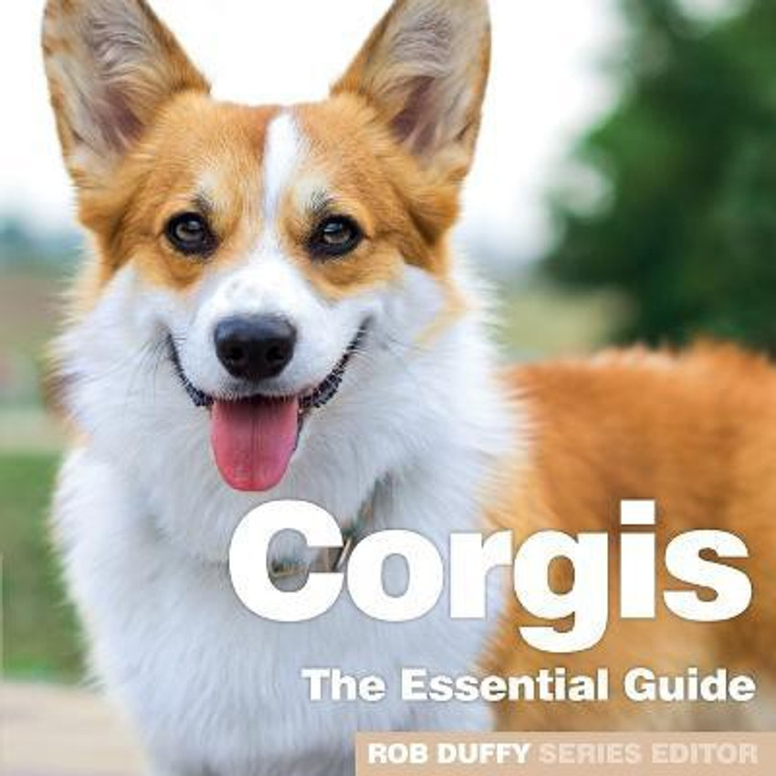 Buy top a corgi