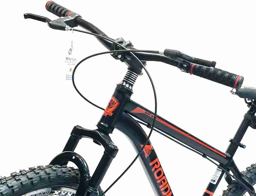 Roadmaster boys bike 2025