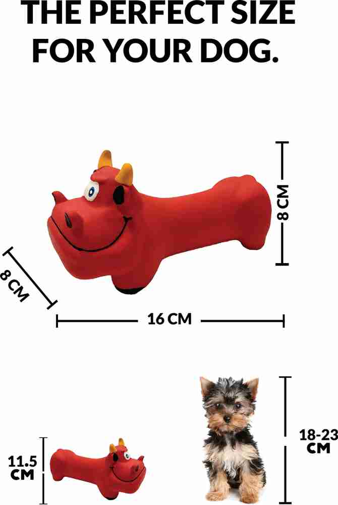 Latex dogs clearance