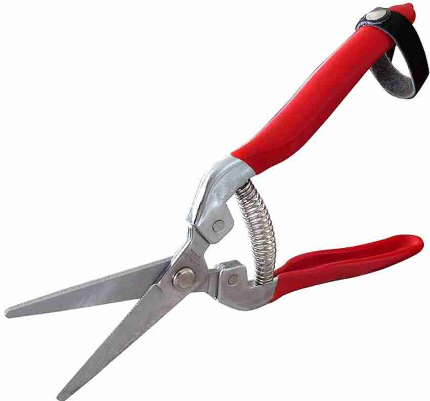 Pruning shears 2025