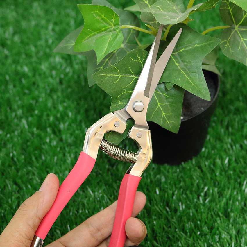 metrotools GARDEN PRUNING SCISSORS PLANT CUTTER FLOWER FRUIT GRAPE SCISSORS Anvil Pruner
