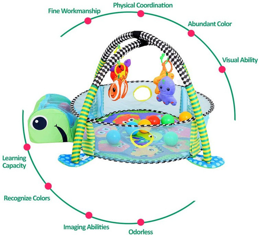 Turtle play 2024 gym