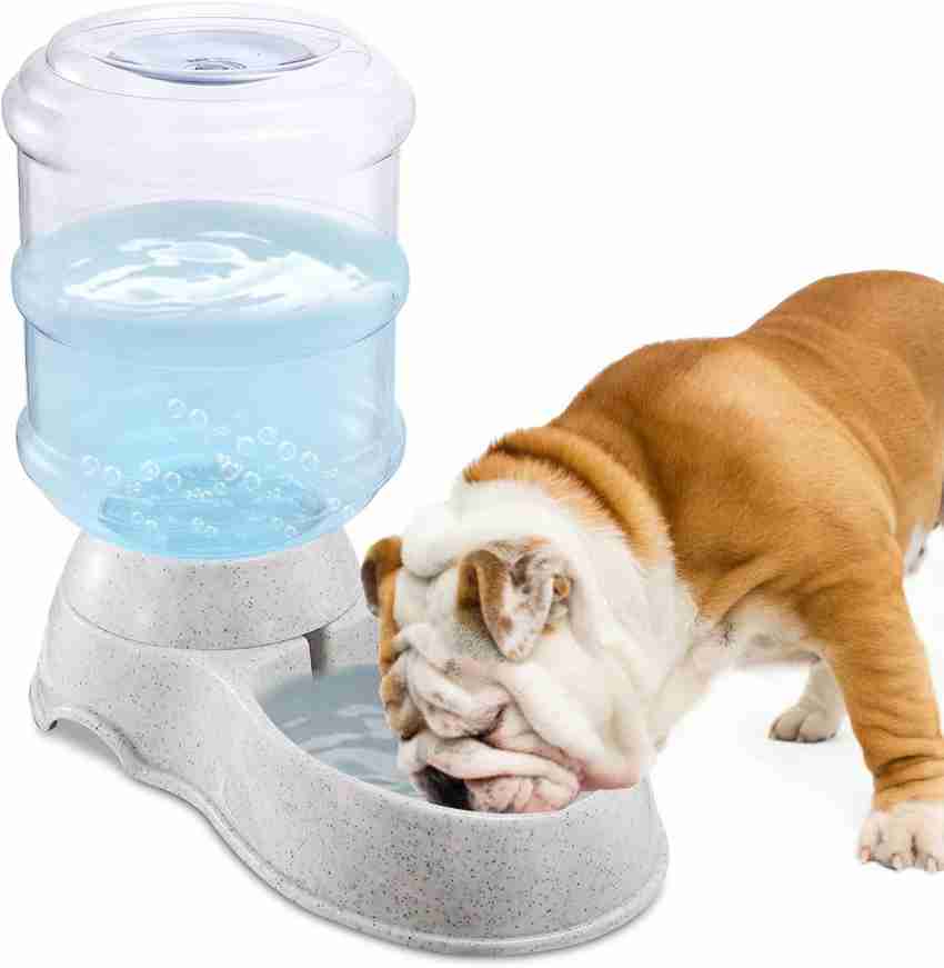 Bundaloo Dog Water Bowl Dispenser - Automatic Slow Refilling System Keeps  Stainless Steel Drinking Dish Filled - Refillable 3 Liter Bottle, Non-Skid