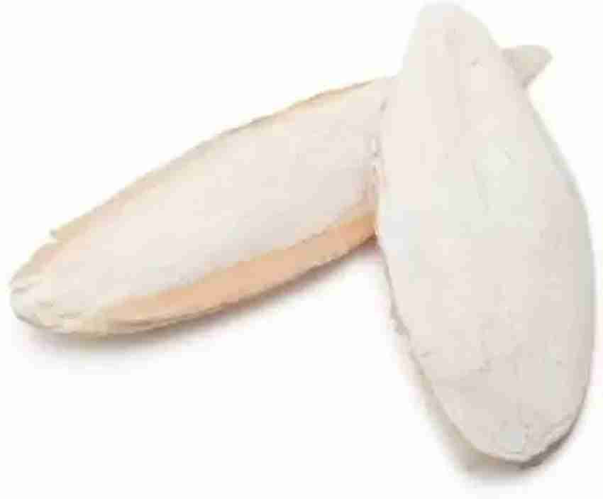 Kapoor Enterprise Cuttlefish Bone samundri jhag 0.4 kg Dry Adult Young Bird Food Fish Bird Treat Price in India Buy Kapoor Enterprise Cuttlefish Bone samundri jhag 0.4 kg Dry Adult Young