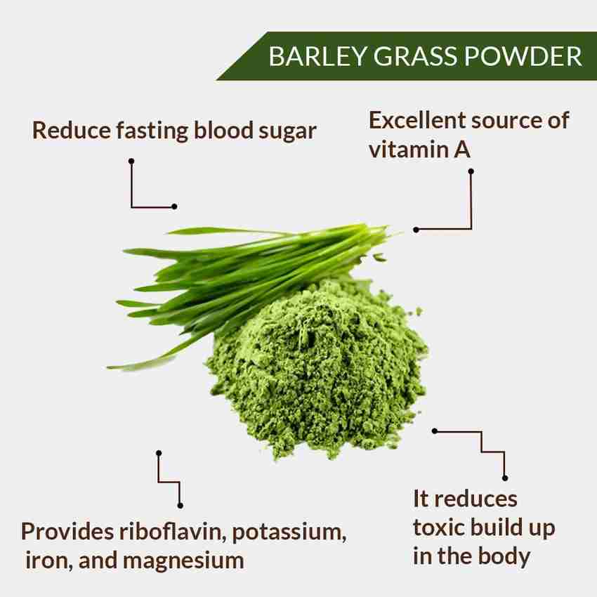 health benefits of organic barley grass powder health benefits of organic barley grass powder