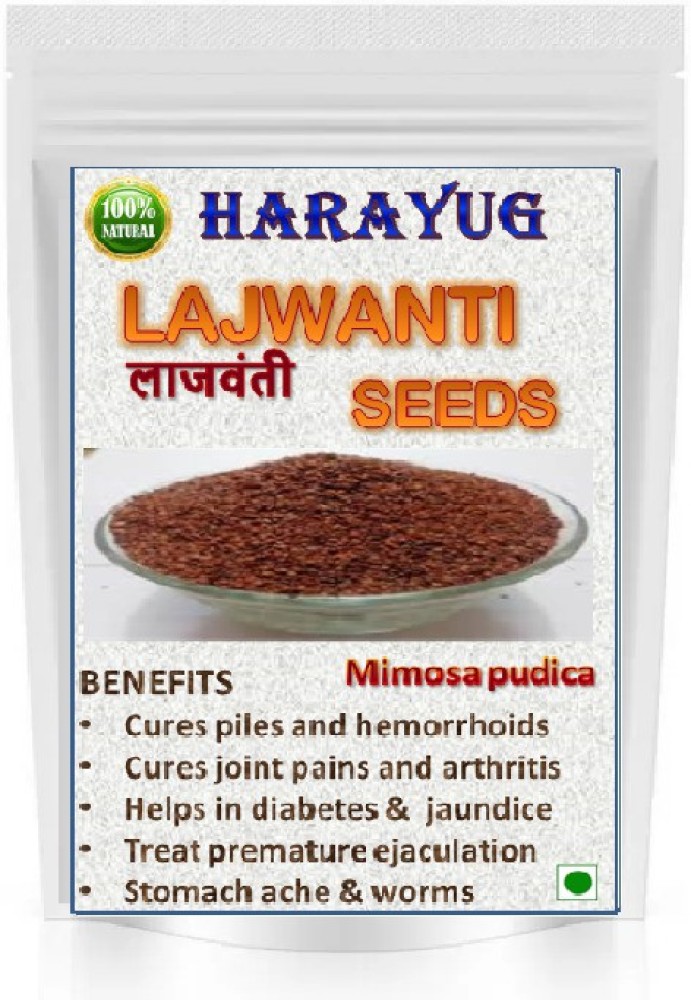 HARAYUG LAJWANTI SEEDS LAJVANTI BEEJ CHUI MUI MIMOSA PUDICA