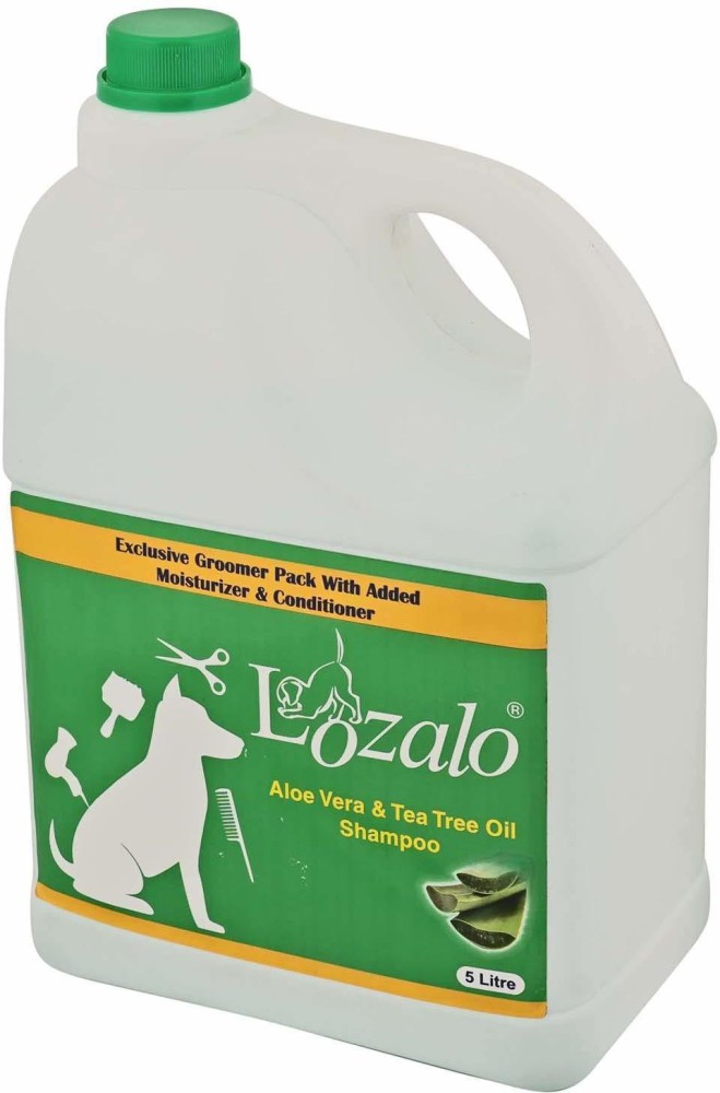 Lozalo Aloe Vera Tea Tree Oil Pet Care Shampoo for Dogs Cats 5 Litre Conditioning Aloe Vera Tea Tree Dog Shampoo Price in India Buy Lozalo Aloe Vera