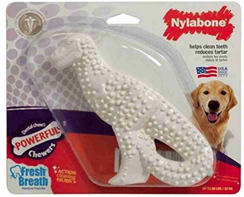 Dinosaur nylabone deals