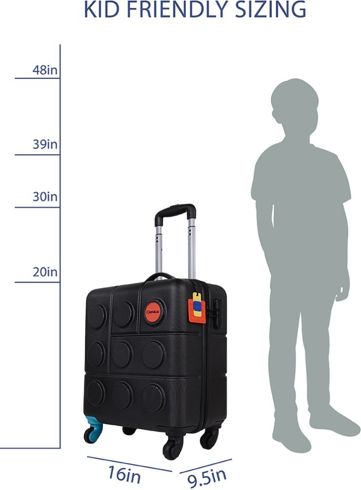 Cabin friendly luggage size online