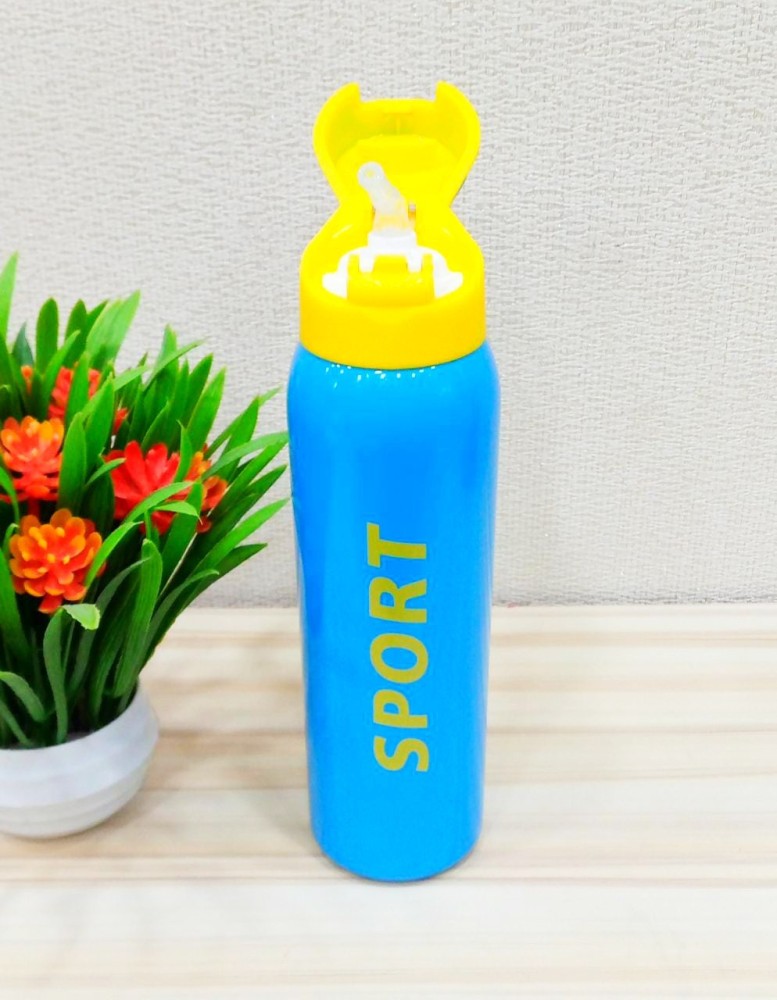 RAREGEAR transformers Cartoon Printed Stainless Steel  Insulated Sipper Flask For School 500 ml Water Bottle - School Sipper