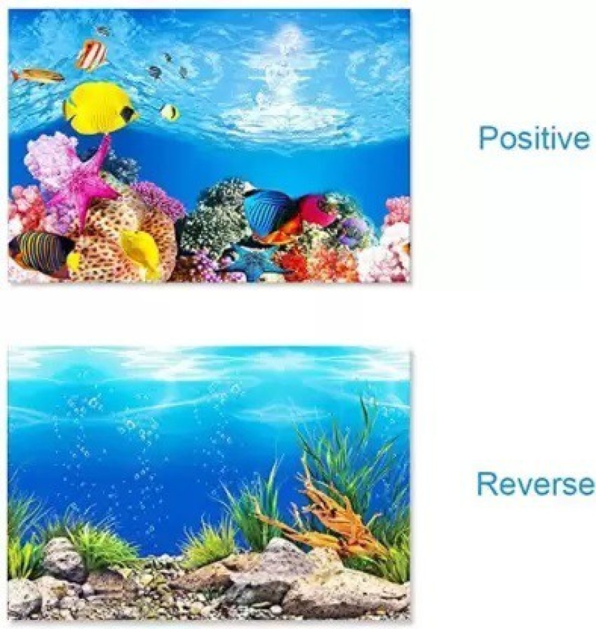 https://rukminim2.flixcart.com/image/850/1000/l3es13k0/aquarium-substrate/8/g/x/0-1-aquarium-poster-3-d-poster-for-aquarium-laterite-planted-original-imagejdyfpjsurwa.jpeg?q=90&crop=false
