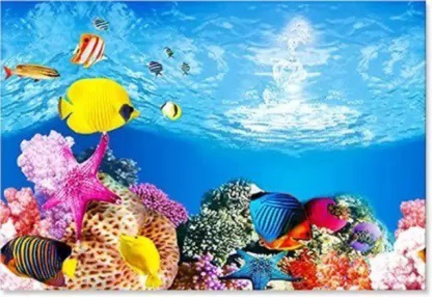 https://rukminim2.flixcart.com/image/850/1000/l3es13k0/aquarium-substrate/z/x/h/0-1-aquarium-poster-3-d-poster-for-aquarium-laterite-planted-original-imagejdyfa5wk7g7.jpeg?q=90&crop=false