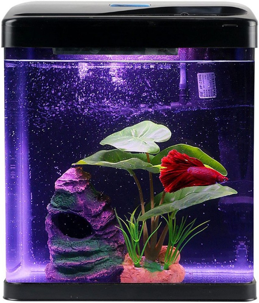 Buraq Moulded Curve Glass Aquarium Fish Tank -235 with Multi Color