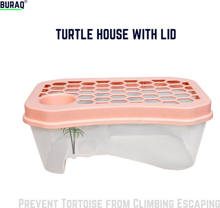 Plastic tortoise house top