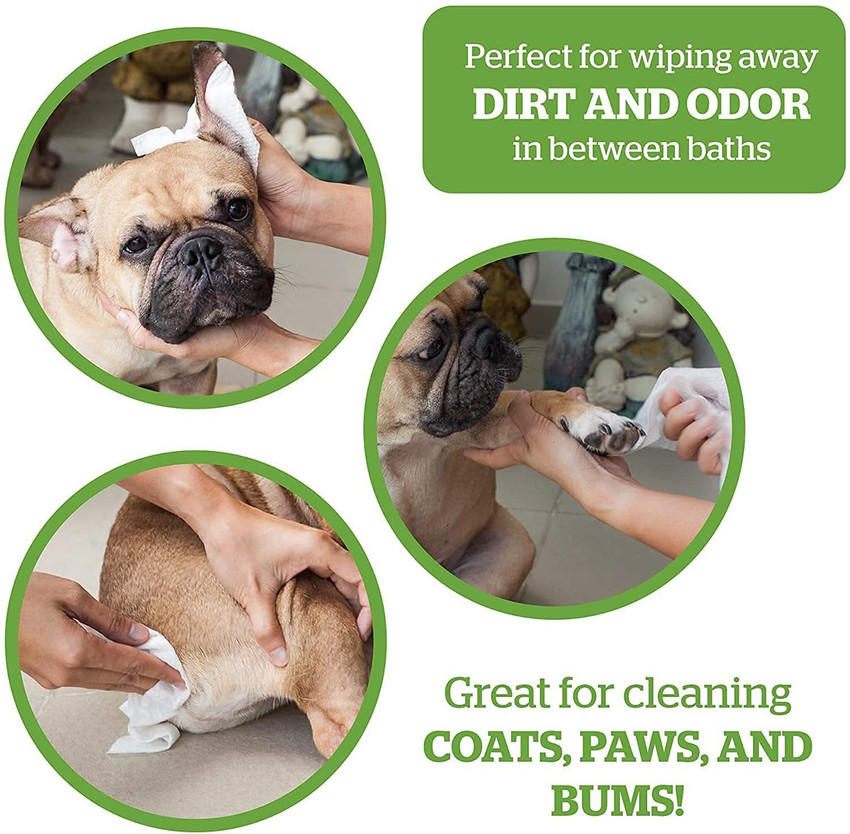 Tushie wipes shop for dogs
