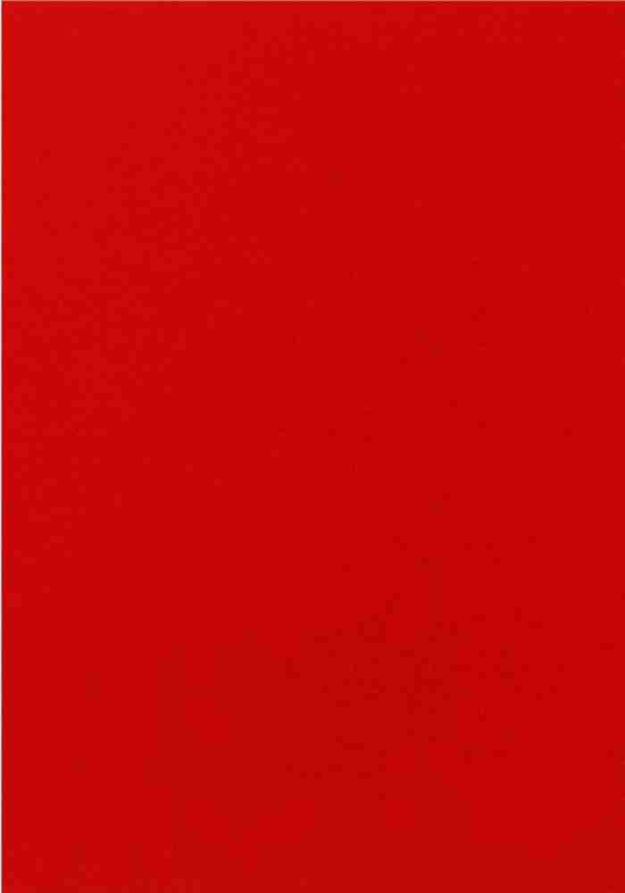  Sejas Collections A3 SIZE RED Color Paper