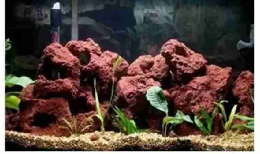 Kapoor Enterprise Natural aquarium decorative rocks River Rock