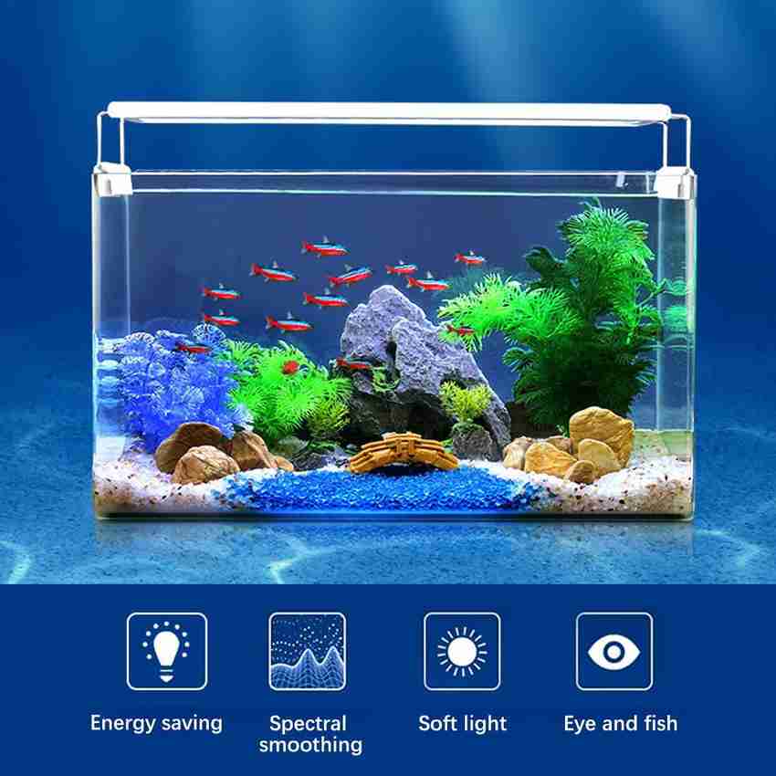 3 hotsell feet aquarium