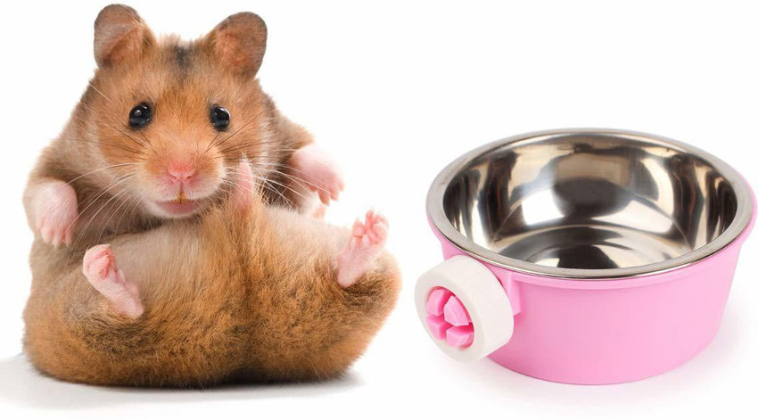 Sage Square Bite Proof Cage Attach Food Bowl Cum Water Bowl for Hamster Pink Stainless Steel Plastic Pet Bowl Price in India Buy Sage Square Bite Proof Cage Attach Food Bowl