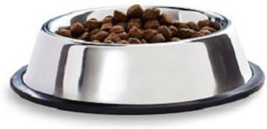 Extra small 2024 dog bowls